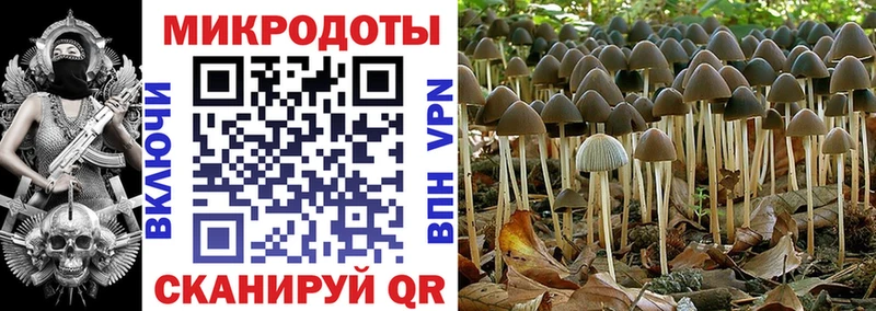 Купить где  Малая Вишера  Псилоцибиновые грибы MAGIC MUSHROOMS 